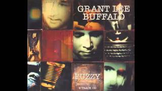 Grant Lee Buffalo - You Just Have to be Crazy