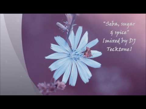 Seba, sugar & spice [mixed by DJ Tecktone]
