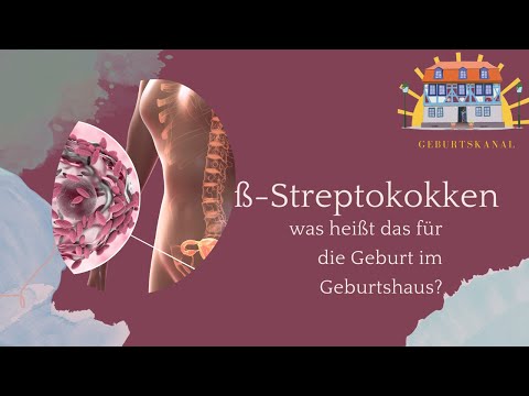 ß-Streptokokken Abstrich? Wann und wozu? ☀️ Geburtshaus Idstein