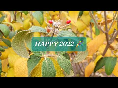 Vlog 32-21 NEW Year; NEW Chair 💺