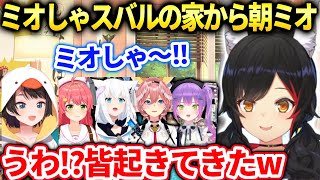 ミオしゃある出来事に落ち込んでたら皆が来てくれてスバルの家に泊まって現在朝ミオする事に【大神ミオ/ホロライブ】