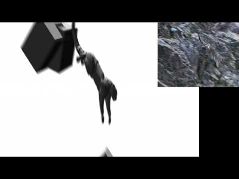 Snow Leopard 3D motion reference