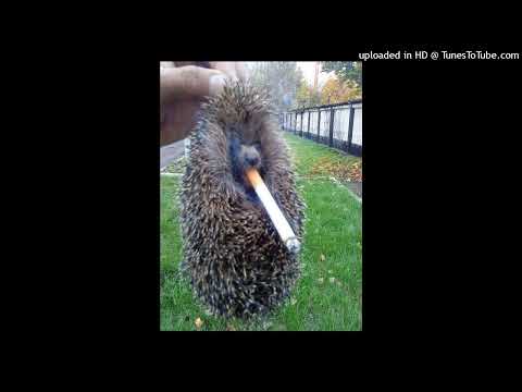 FREE TYPE BEAT GOODY X 044 ROSE X KIZARU