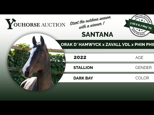 Santana under the saddle