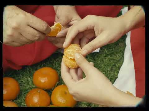 Ale Zéguer - mandarinas en el sol (visualizer)