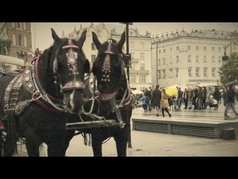 M0LLY - Story tell (Official Music Video)