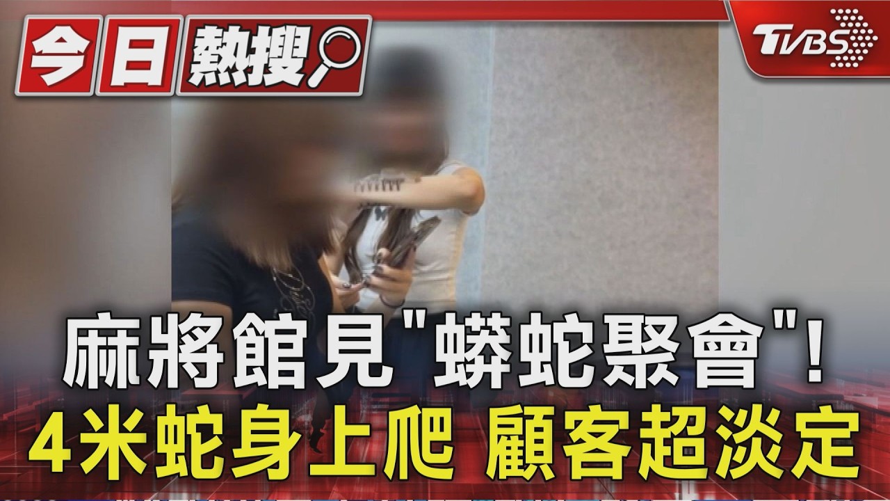 影音/麻將館驚見蟒蛇聚會! 4米30KG蟒蛇身上爬 顧客仍淡定打牌