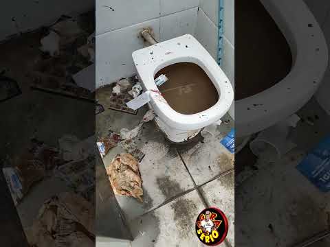 PROJETO TURÍSTICO VOMIT DE JUQUITIBA A CIDADE QUE NÃO DEU CERTO .