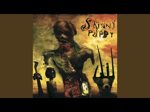 ... Brap (Brap Version)