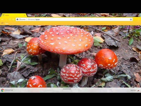 Item video thumbnail