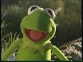 Kermit S Swamp Years 2002 VHS DVD Teaser Trailer 2