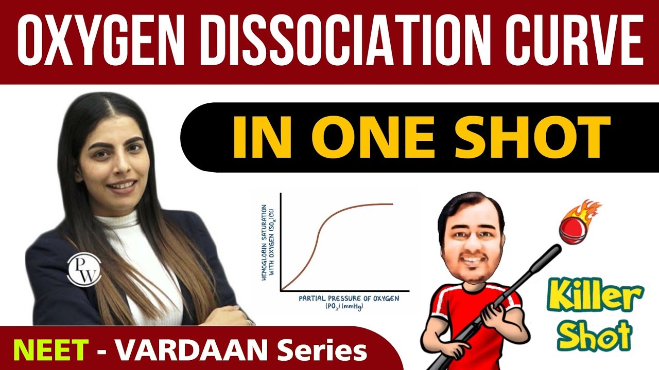Oxygen Dissociation Curve in 1 Shot | Breathing and Exchange of Gases | NEET | Vardaan Series
