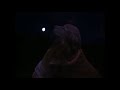 Homeward Bound The Incredible Journey 1993 Clip