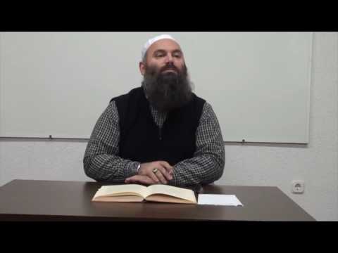 Ja çfarë thanë të tjerët për Shejh Albanin - Hoxhë Bekir Halimi