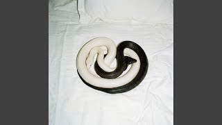 YIN YANG