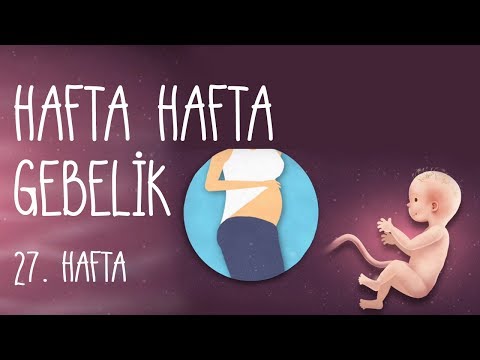 Hafta Hafta Gebelik 27. hafta
