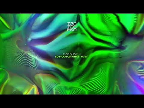 Mauro Somm - So Much of What I Want [IAMT] // Techno Premiere
