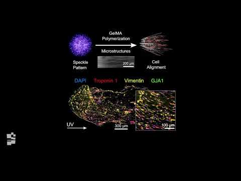 Multifilemented FLight video