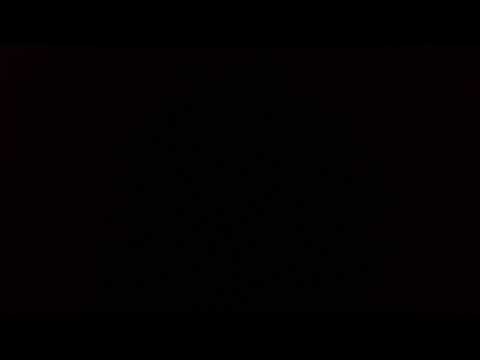 Impala breeding season