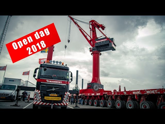 Mammoet open dag 2018