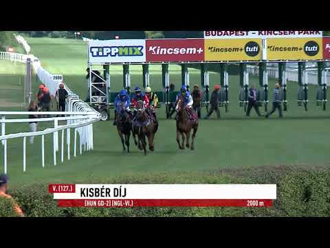 2023.07.30. 5. Futam - KISBÉR DÍJ (HUN Gd-2) (NGL-VI.)