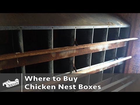 Where to buy chicken nesting boxes - AMA S1:E4