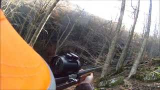 preview picture of video 'chasse au sanglier en corse 2013/2014 scene 15 zicavo'