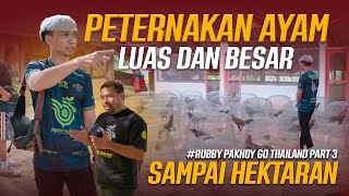 Download lagu RUBBY PAKHOY GOES TO THAILAND PART 3 | LEGENDARY FARMING IN THAILAND mp3