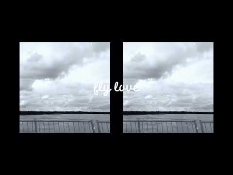 fly love (loop)