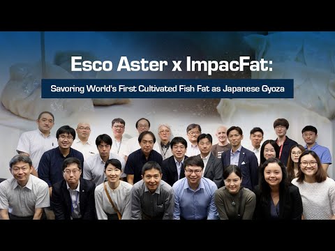 Esco Aster x ImpacFat: Savoring World's First Cultivated Fish Fat as Japanese Gyoza