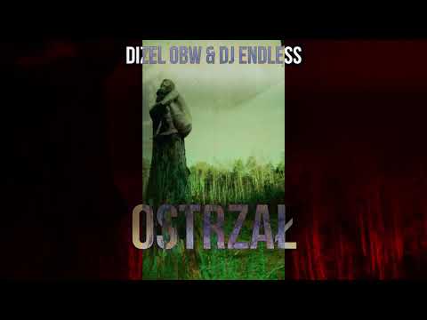 DIZEL OBW & DJ ENDLESS - OSTRZAŁ