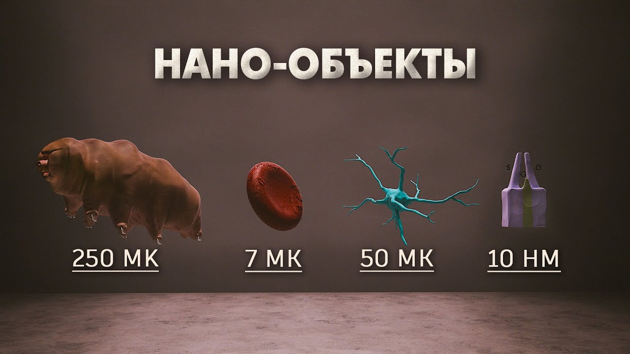 Путешествие в заквантовый мир. Визуализация субатомных частиц, вирусов, и молекул