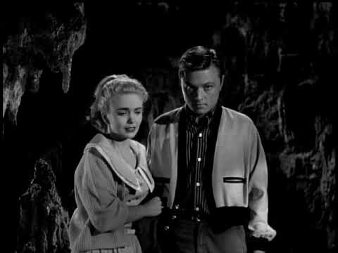 Die Rache der schwarzen Spinne