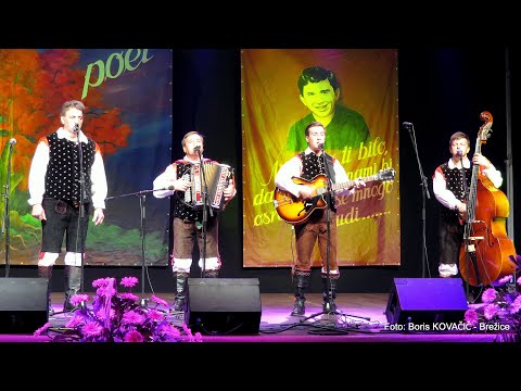 Ansambel Fantje z Dobrne - Zadnji refren