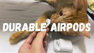 Apple AirPods 2 Honest Review!