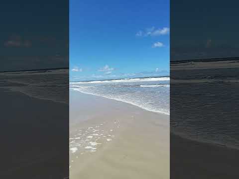 Domingão de praia em Canavieiras Bahia a água do mar tá vá morna  🏖️🌊🌊🌊.