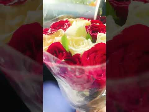 💐💐#shorts #shortvideo #shortviral