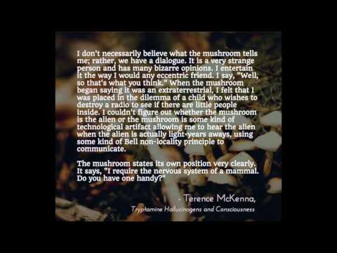 Psybrations - Psybient Compilation 432hz