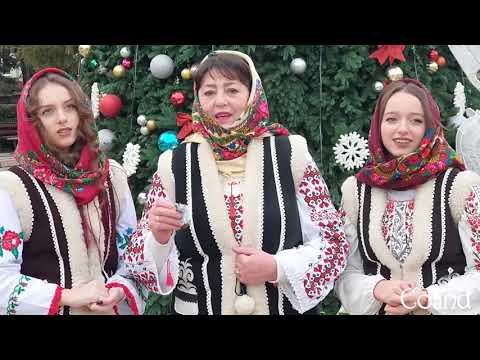 Colind 2021 - Anişoara Prisăcaru