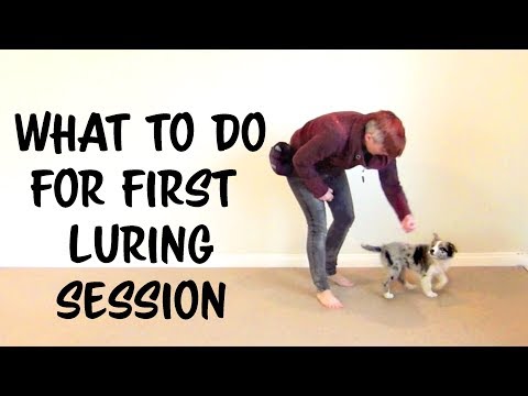 What is Clicker Training