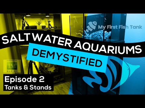 Saltwater Aquariums Demystified Ep. 2: Tanks & Stands