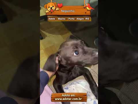 Vídeo de Neguinho 