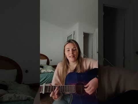 Lindo Swallow Electro Acoustic Guitar