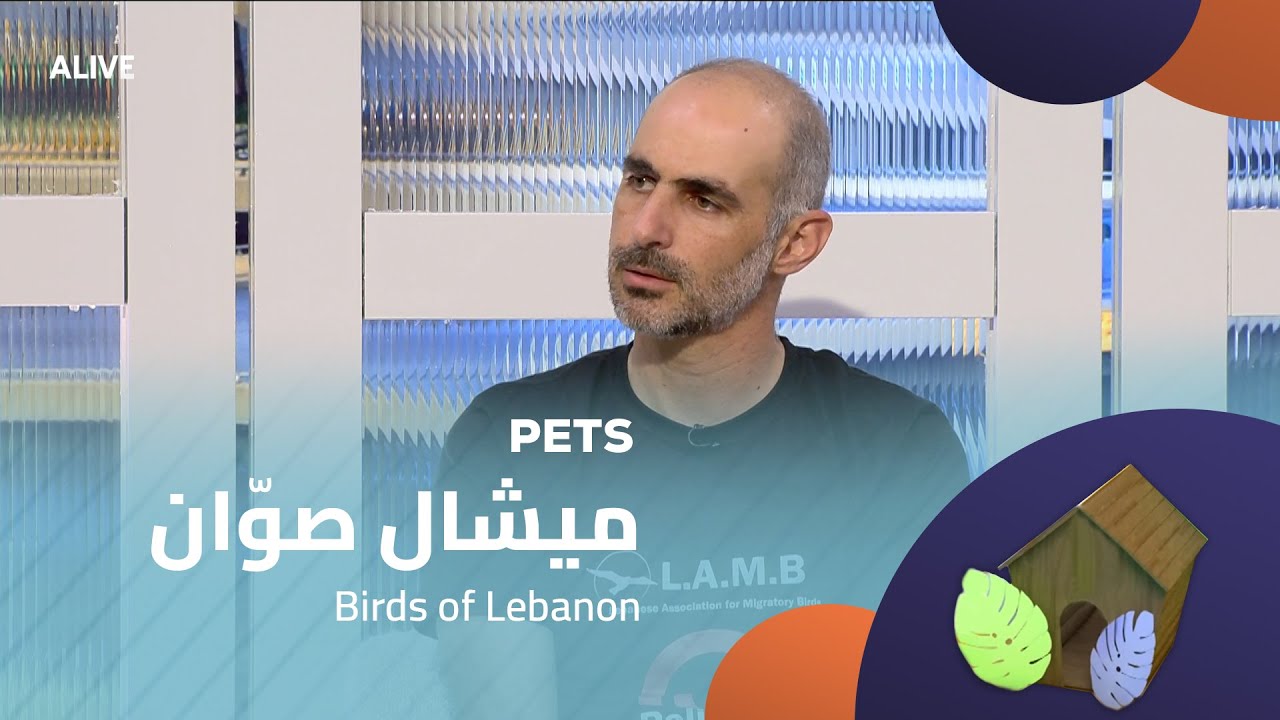 Pets - 05/11/2025 - Michel Sawwan - Birds of Lebanon