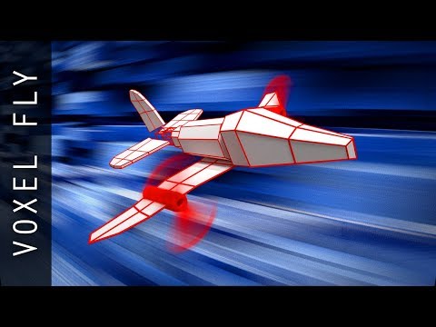Voxel Fly Video