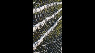 Defence in Depth: Protecting What Matters