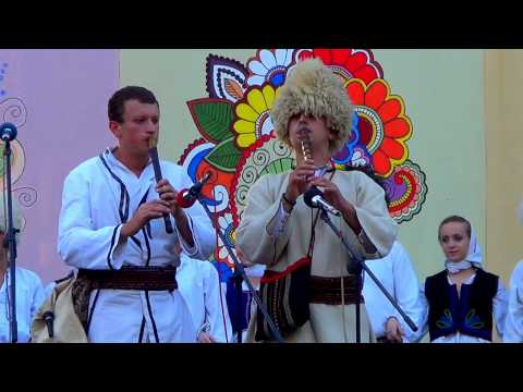 HOMOLJSKI MOTIVI 2014 (ukratko)