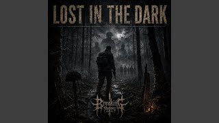 Lost in the Dark