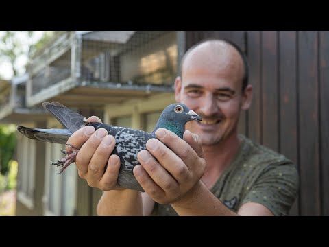 National winners ZLU 2020: Rieux Minervois - Jurrian van Amerongen, Bunnik