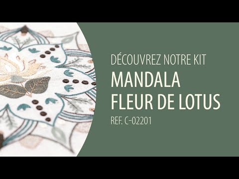 Voir la vidéo